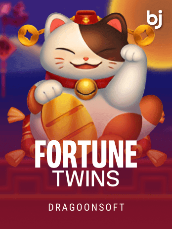 Fortune Twin icon